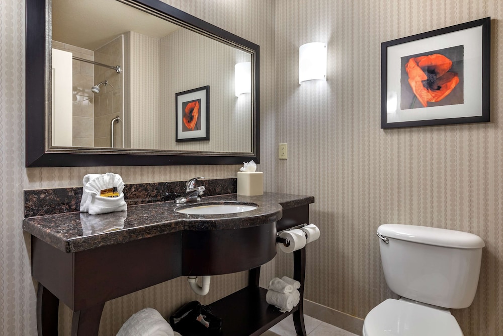 Suite, 1 King Bed, Non Smoking (with Sofabed) - Photo 4