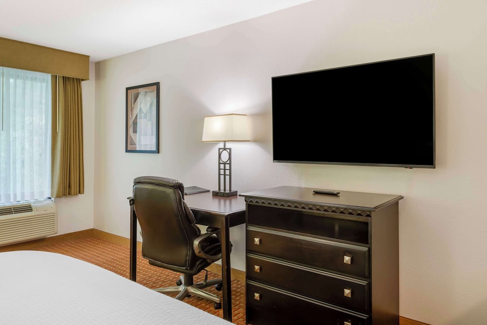 Standard Room, 1 King Bed, Non Smoking, Kitchenette (with Sofabed) photo 2