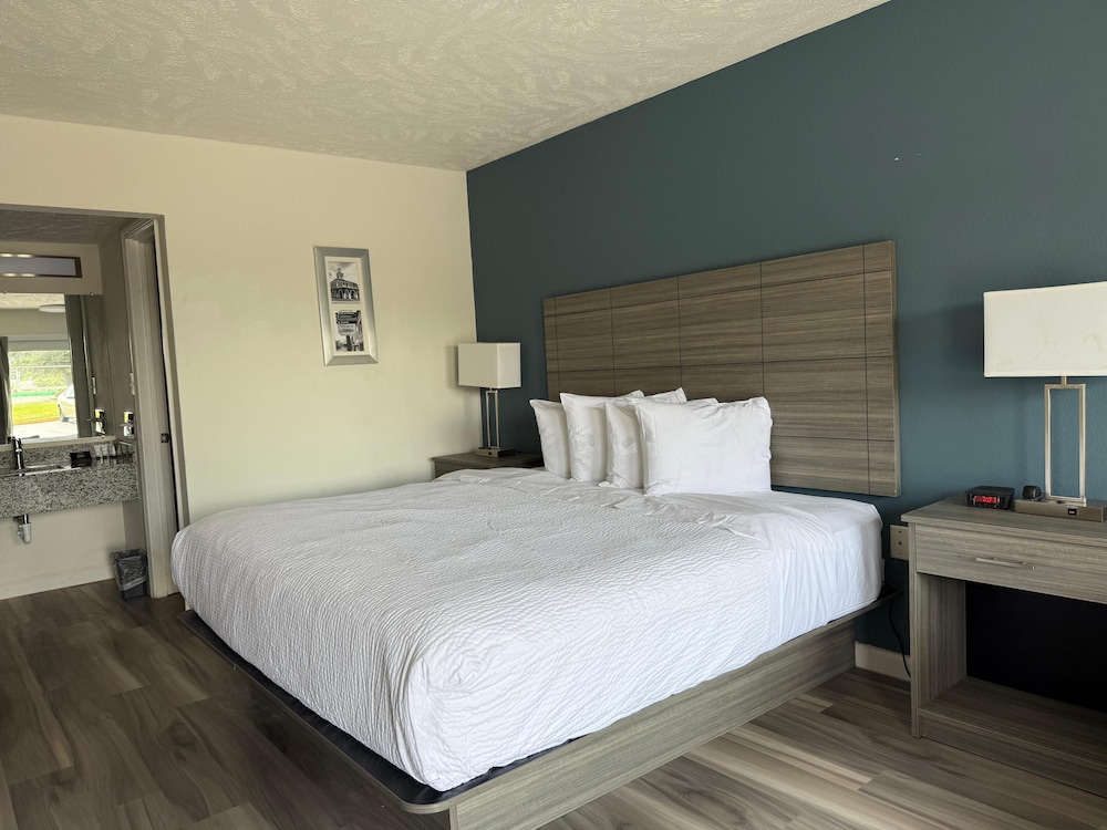 Room, 1 King Bed, Non Smoking photo 1
