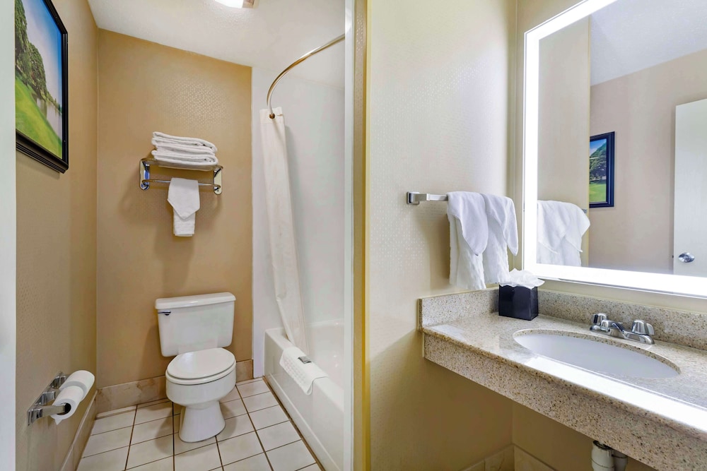 Suite, 1 King Bed, Non Smoking, Refrigerator & Microwave (with Sofabed) - Photo 4
