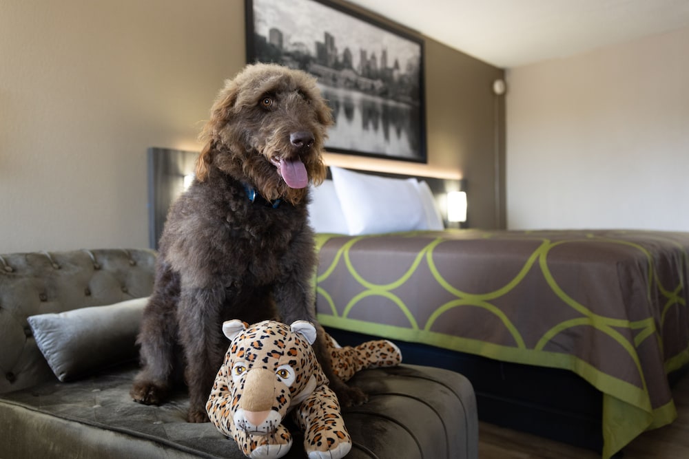 Room, 1 King Bed, Non Smoking (Pet-Friendly) - Photo 1