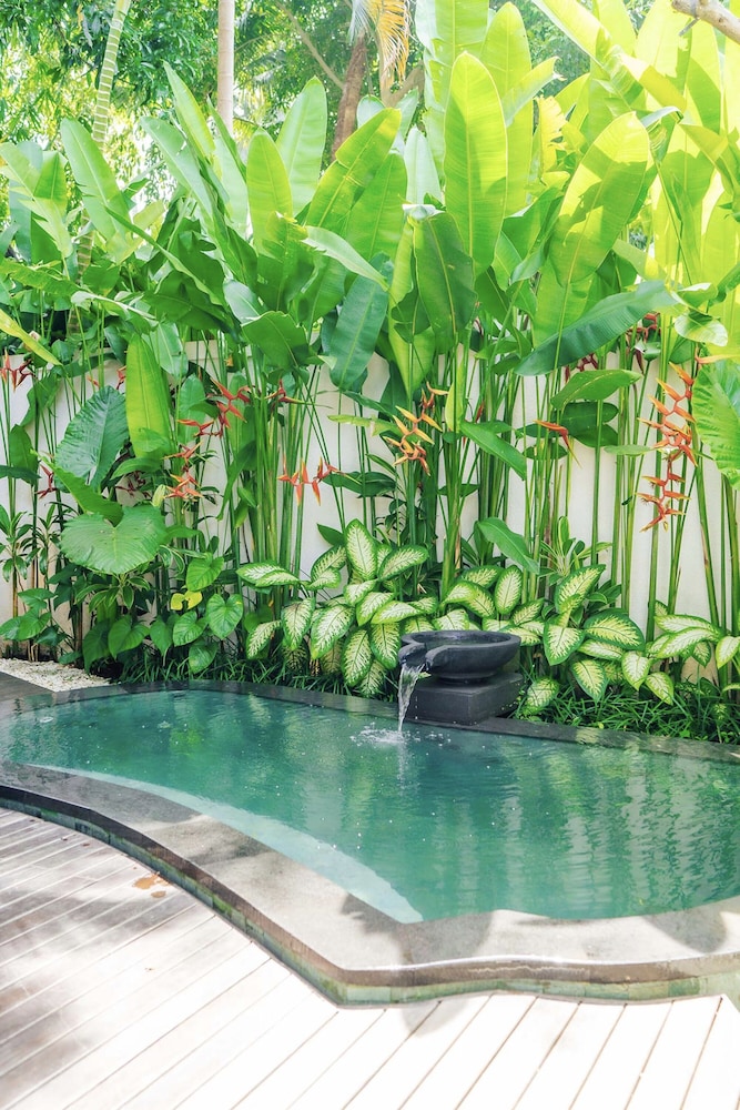 VATA - 1BR Garden Villa Heated Plunge Pool & Steam - Photo 6