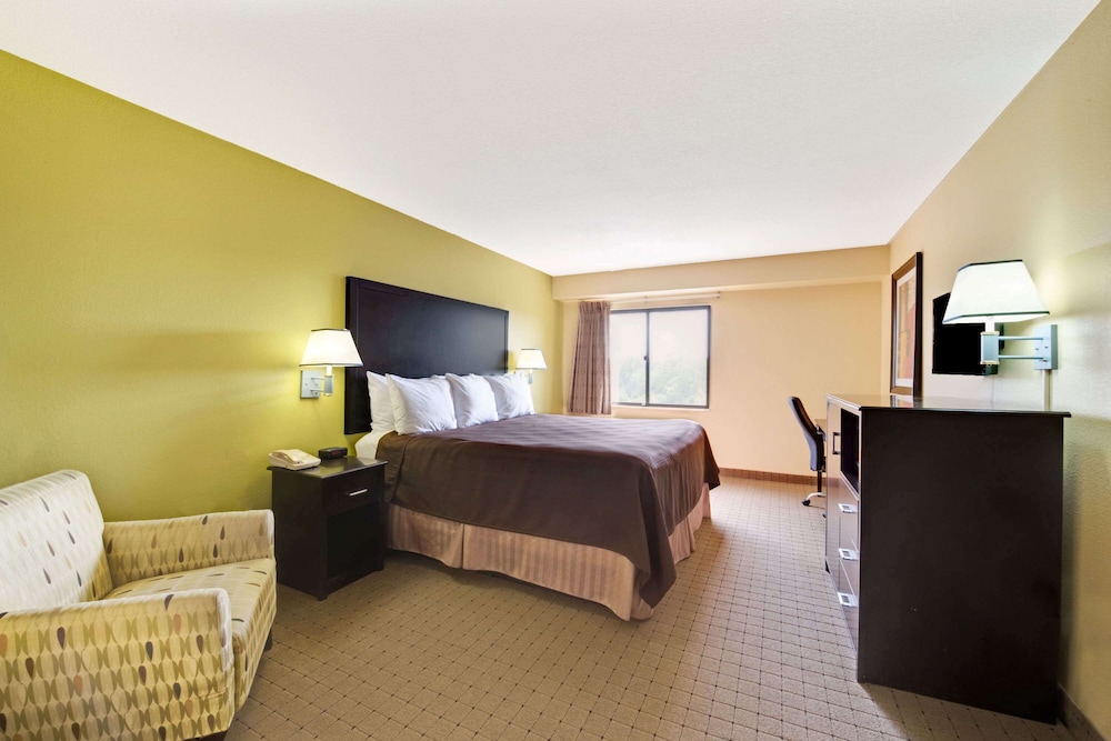 Suite, 1 King Bed photo 3
