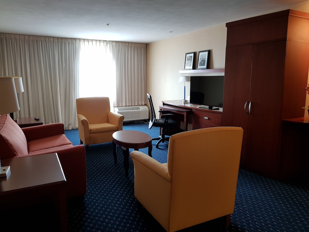 Suite, 1 Bedroom - Photo 4