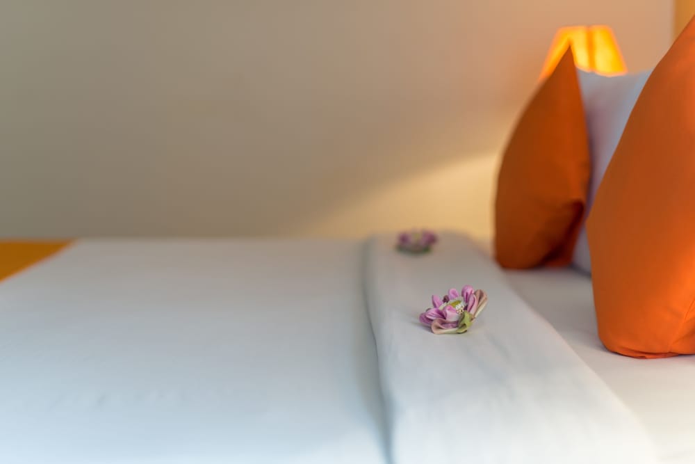 Deluxe Double or Twin Room - Photo 13