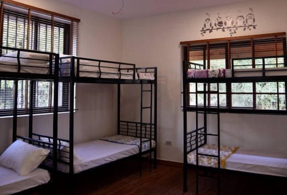 Economy Room, Multiple Beds, Non Smoking photo 3