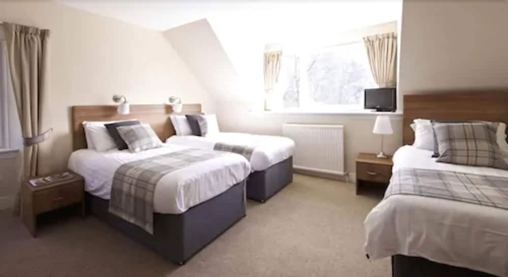 Triple Room photo 1