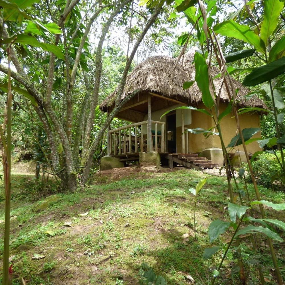 Shared Dormitory photo 1
