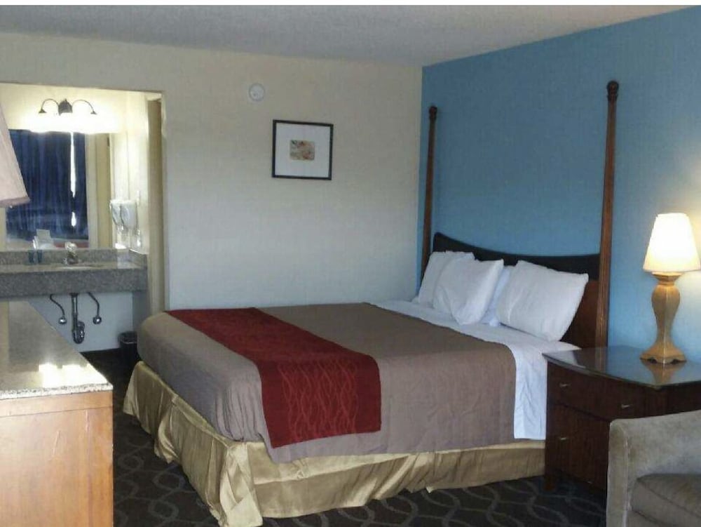 Single Room photo 2