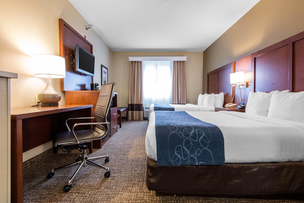 Suite (2 Queen Beds and  1 Sofa Bed ) photo 3