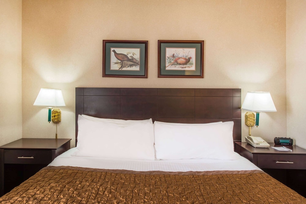 Deluxe Studio Suite, 1 King Bed, Non Smoking - Photo 1