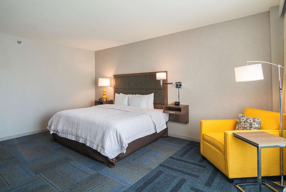 Room, 1 King Bed, Accessible, Non Smoking