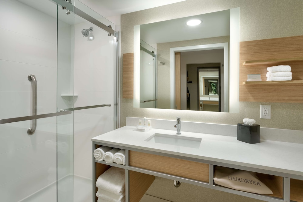 Room, 1 King Bed, Accessible (Roll-In Shower) photo 2