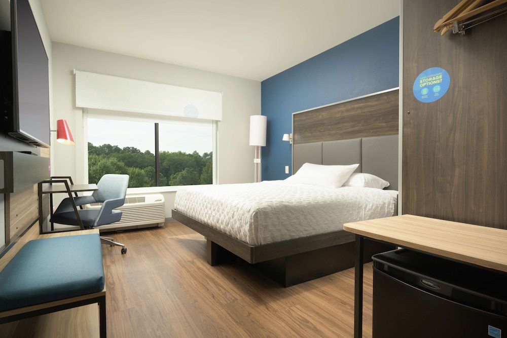Room, 1 King Bed, Accessible (Roll-In Shower) - Photo 4