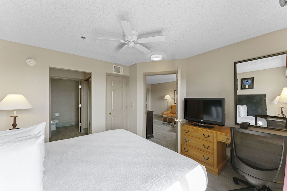 Premium Apartment photo 2