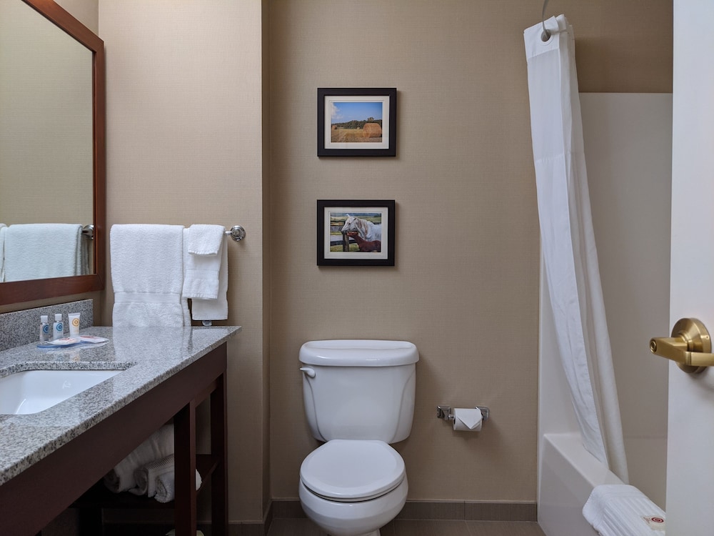 Studio Suite, Multiple Beds, Non Smoking - Photo 3
