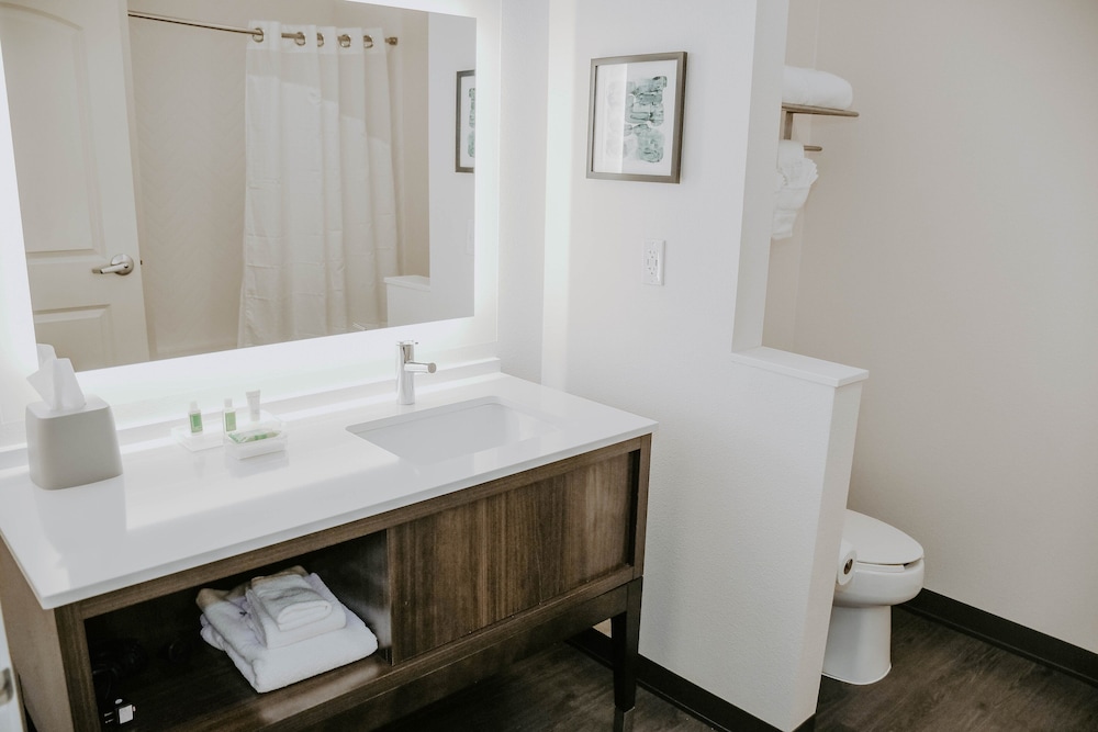 Standard Room, Multiple Beds, Roll-in Shower (Communications, Roll-In Shower) - Photo 4