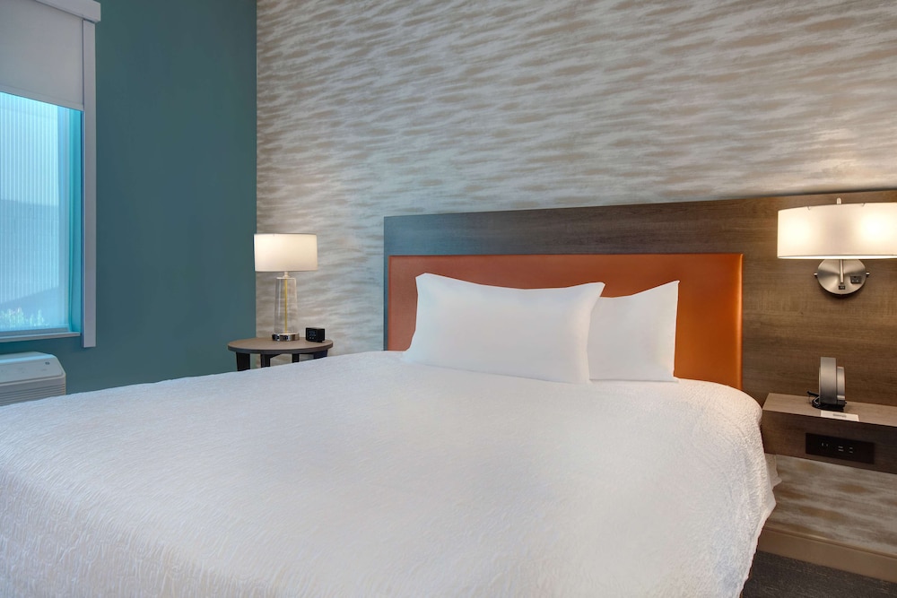 Studio, 1 King Bed, Accessible (Roll-In Shower) - Photo 1