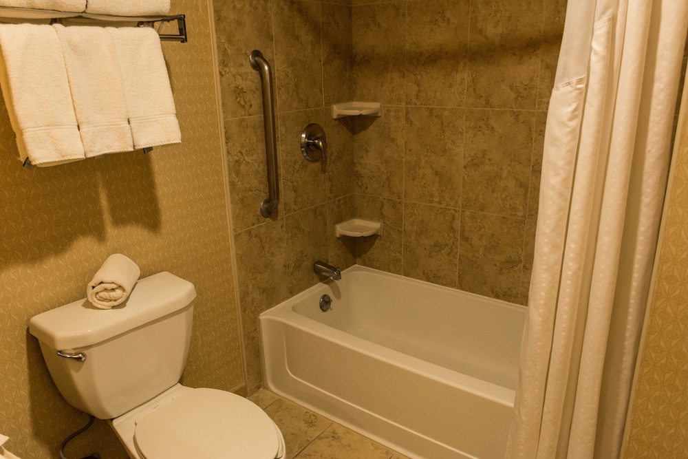 Suite, 1 King Bed - Photo 8