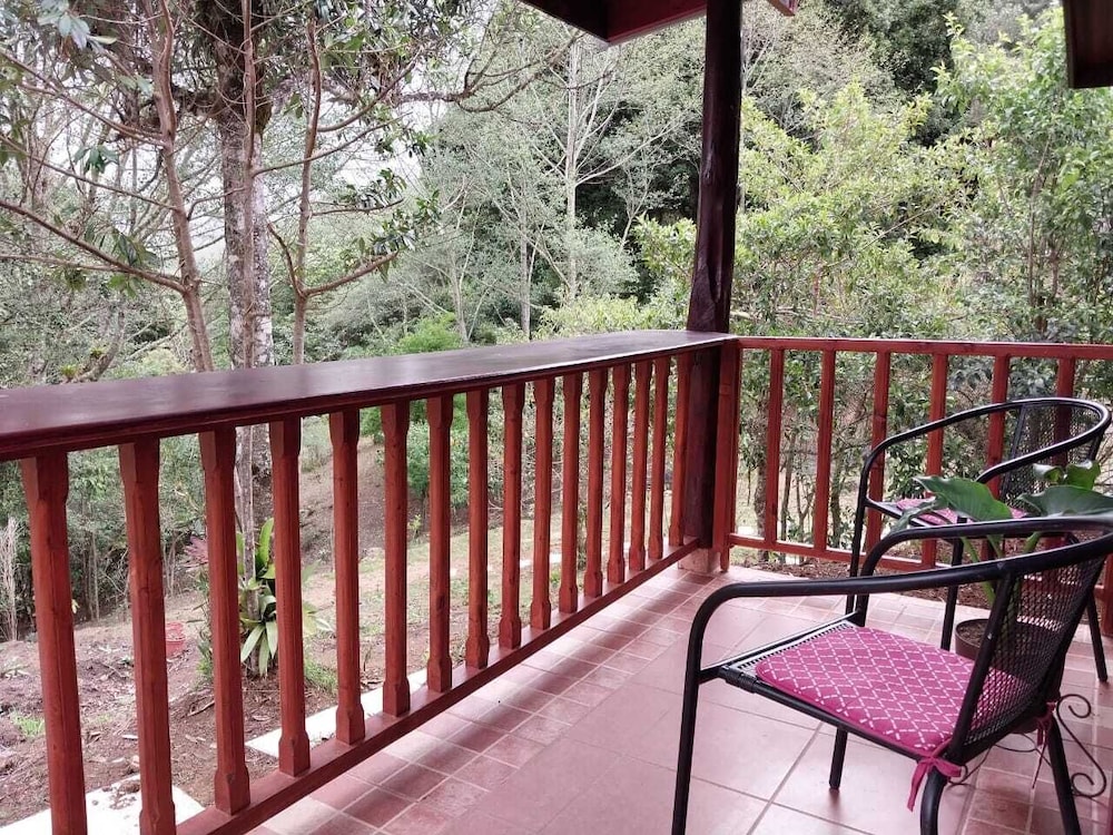 Basic Cabin photo 1