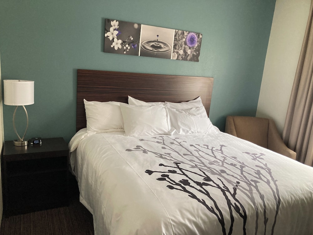 Room, 1 King Bed, Non Smoking - Photo 1