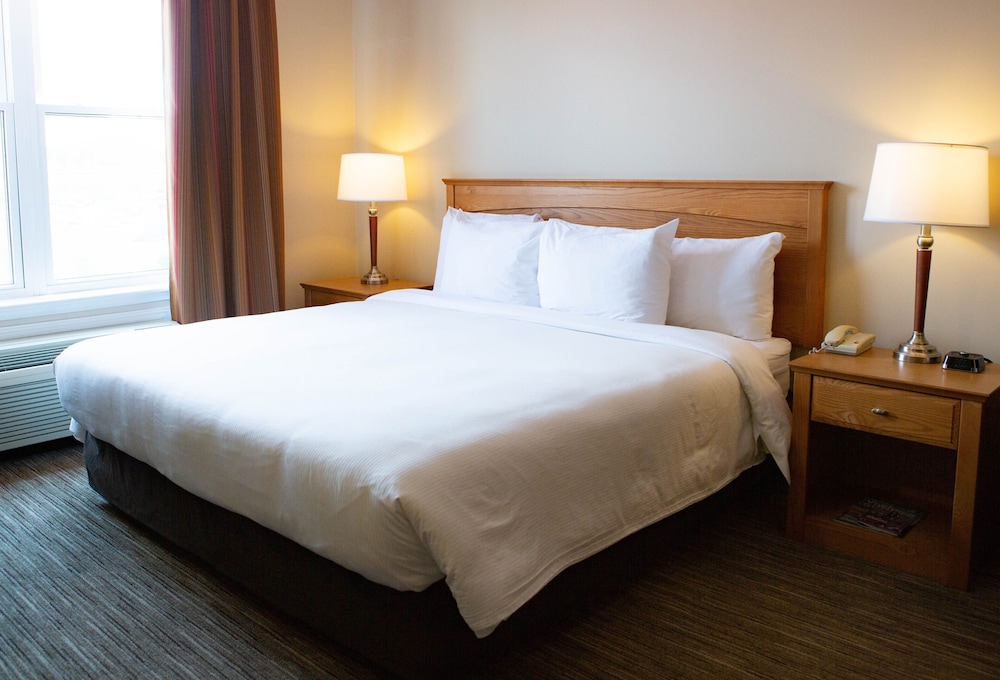 Suite, 1 Bedroom
