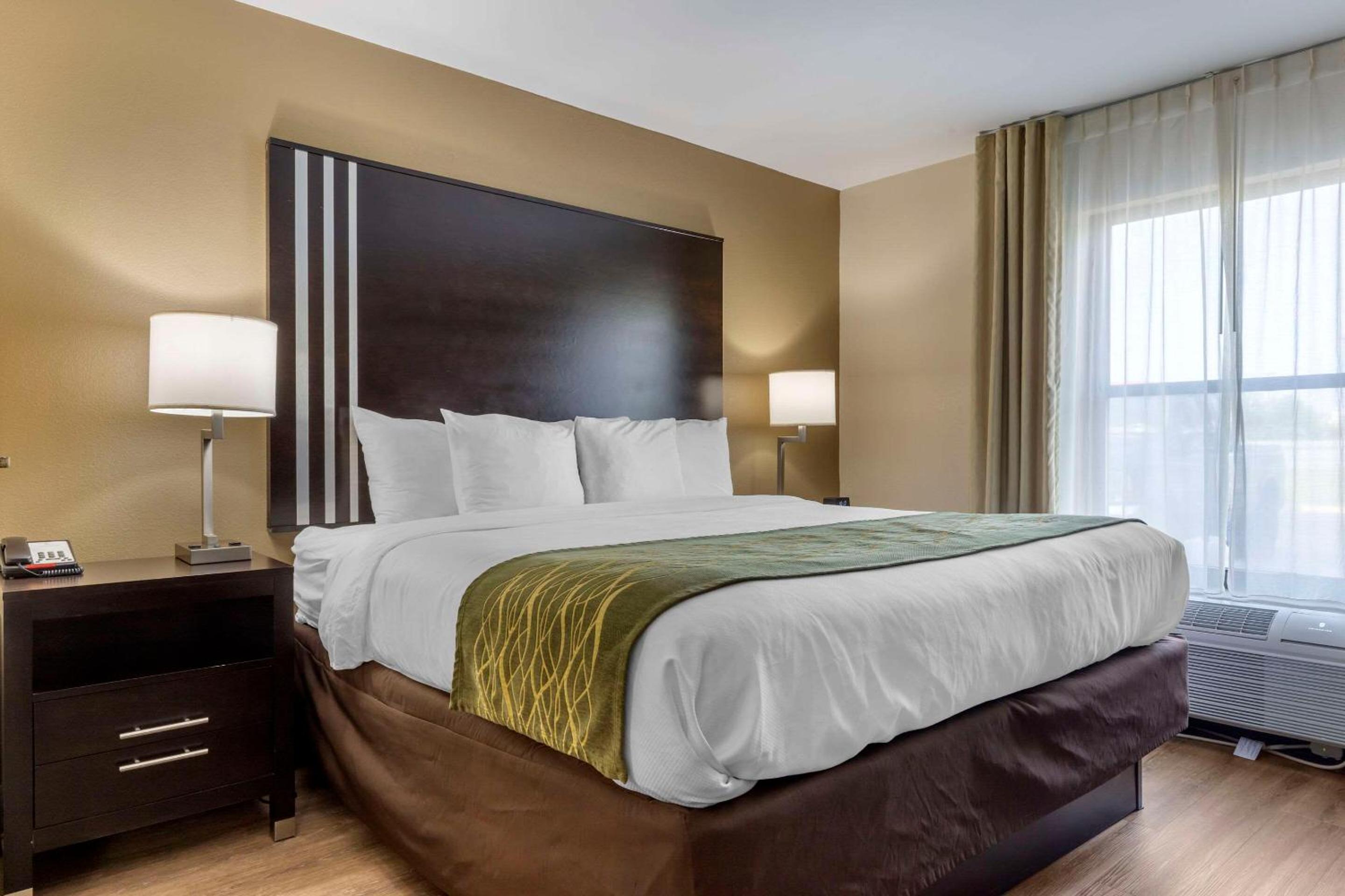 King Suite with Sofa Bed - Non-Smoking - Photo 1