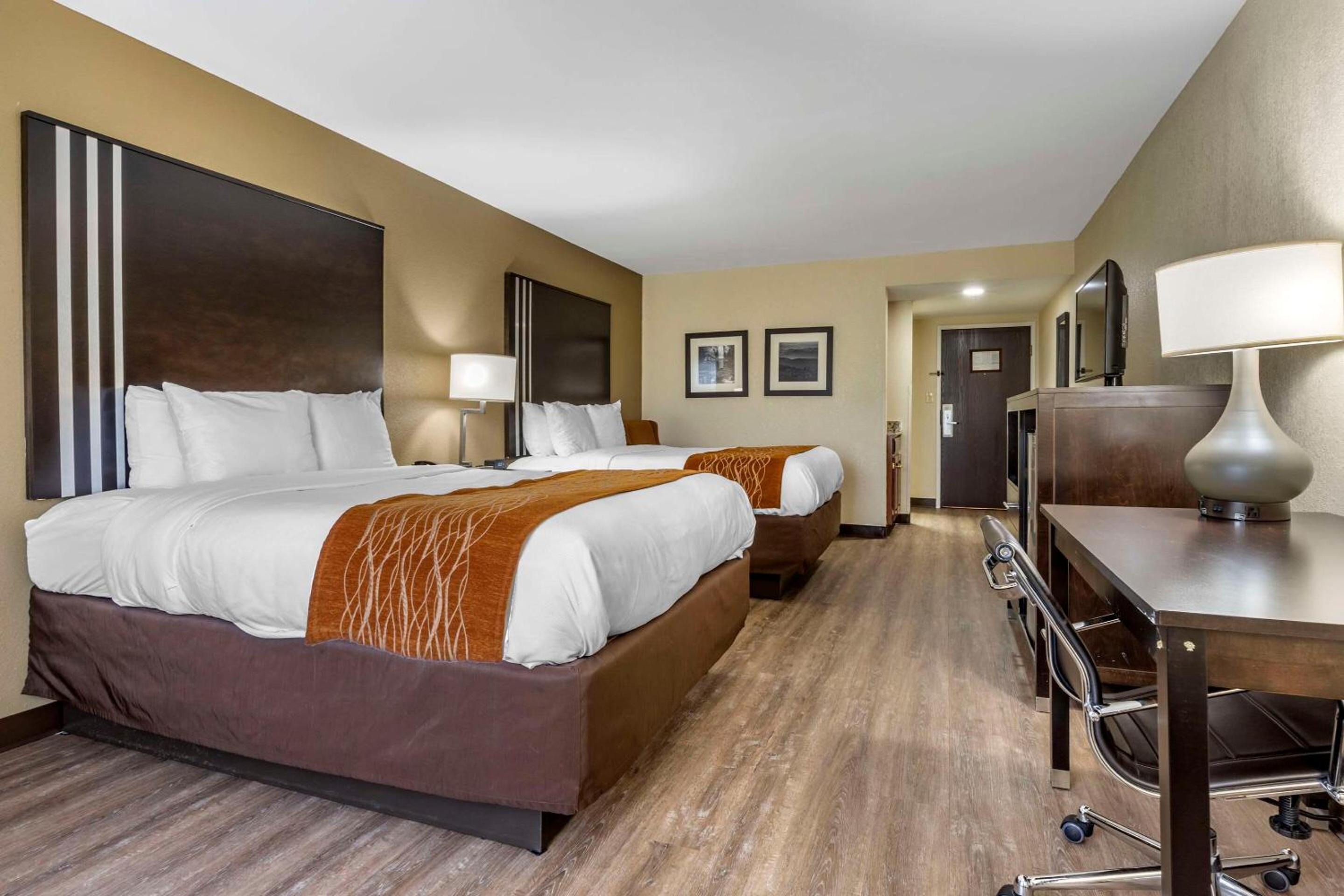 Queen Suite with Two Queen Beds - Non-Smoking - Photo 3