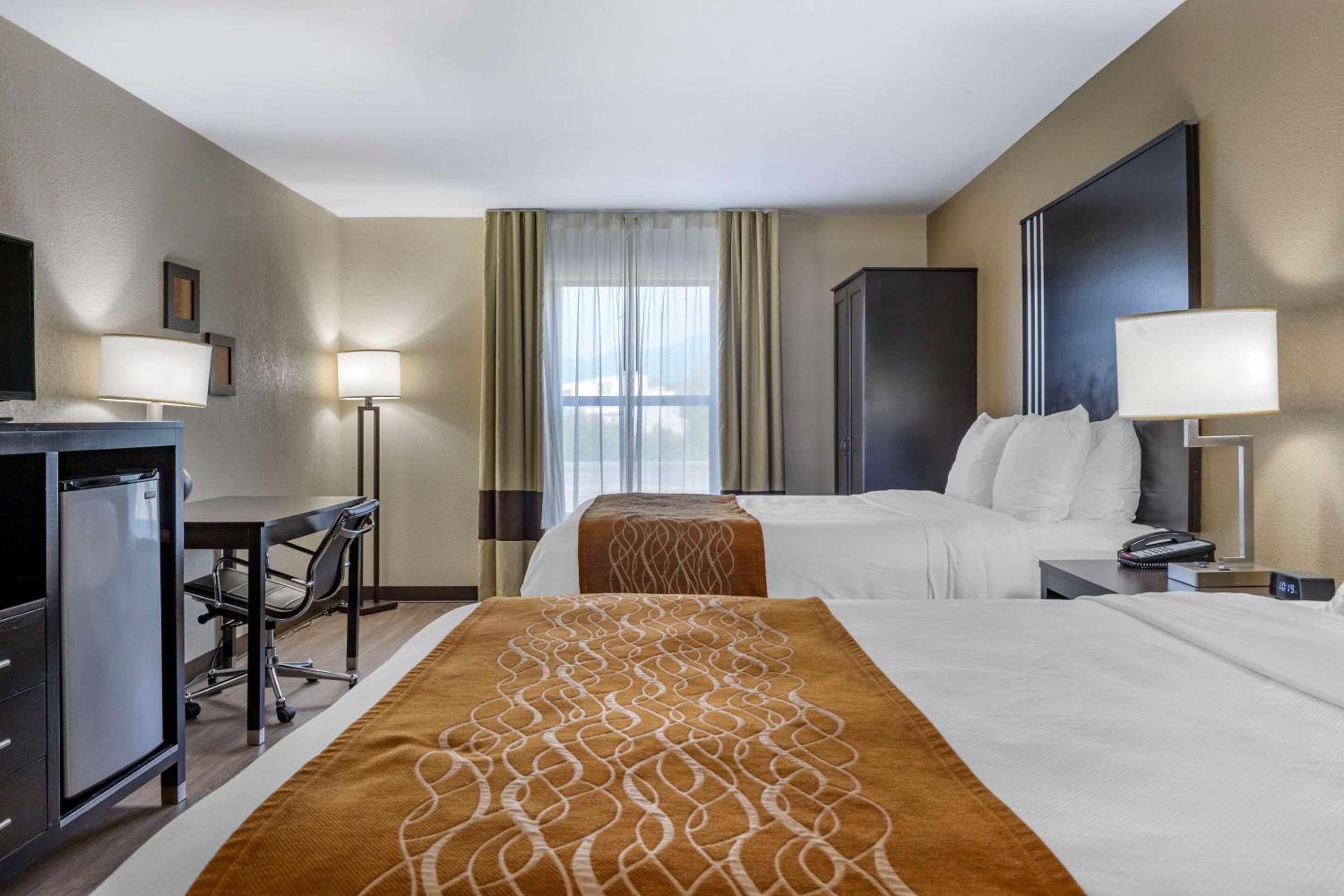 Queen Suite with Two Queen Beds - Non-Smoking - Photo 4
