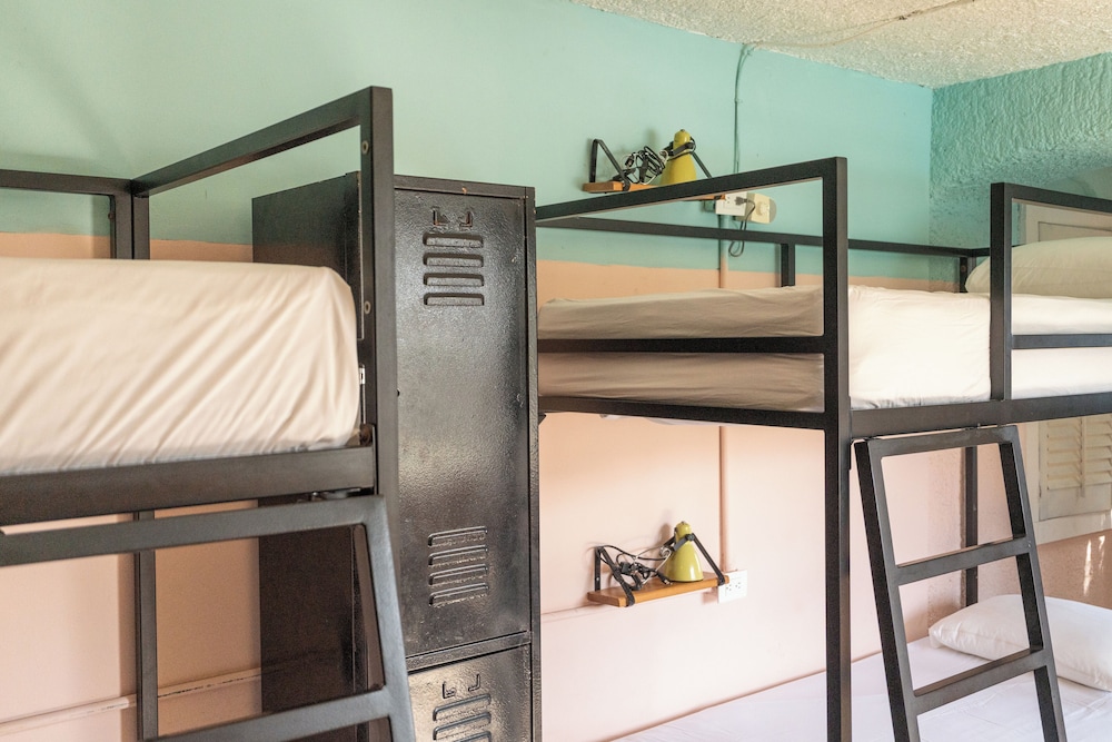 Bed in 6 Bed Female Dorm - Photo 1