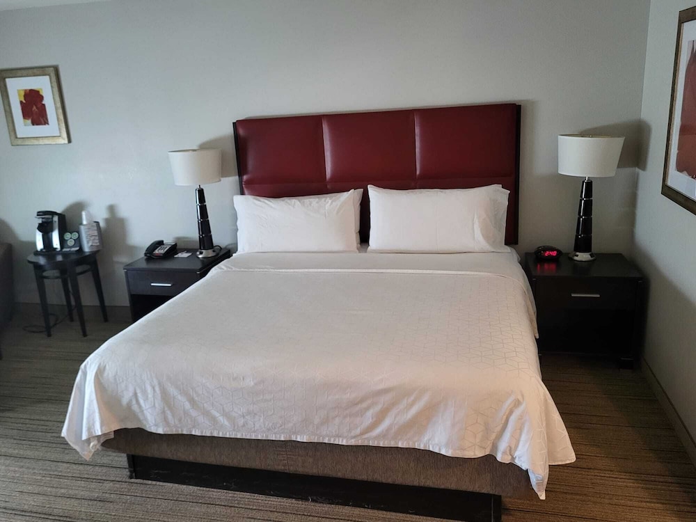 Standard Room, 1 King Bed, Accessible (Roll-In Shower) - Photo 2