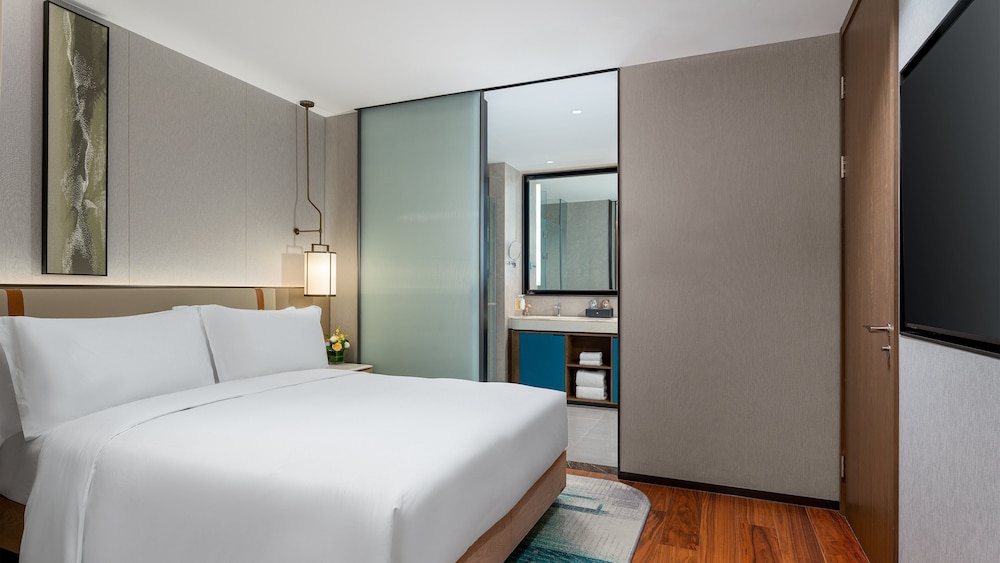 Suite, 1 Queen Bed photo 3