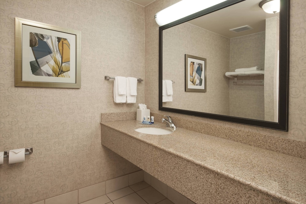 Executive Suite, 1 King Bed with Sofa bed - Photo 6