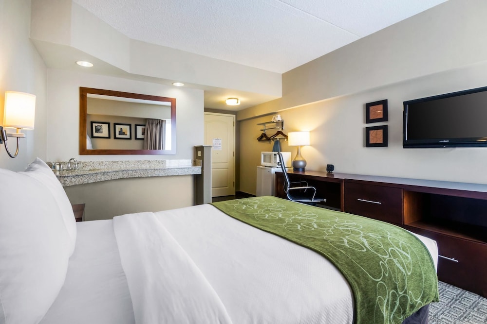 Room, 1 Twin Bed, Accessible, Non Smoking