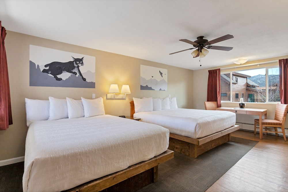 Room, Multiple Beds (some pet friendly)