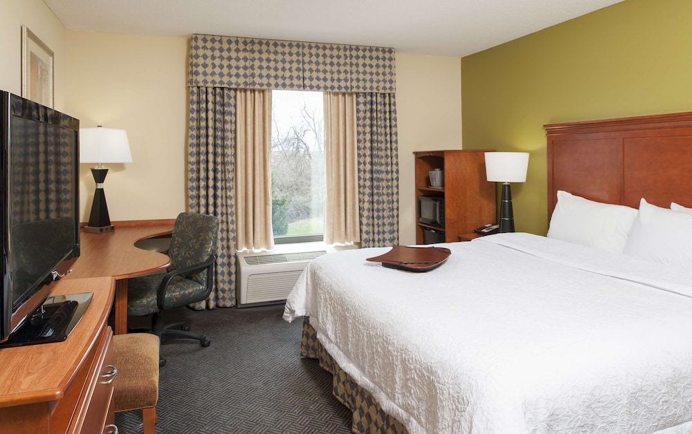 Room, 1 King Bed, Accessible - Photo 3