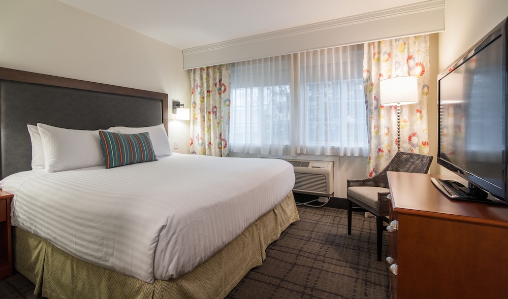 Executive Suite, 1 King Bed, Non Smoking, Refrigerator & Microwave (with Sofabed) - Photo 1