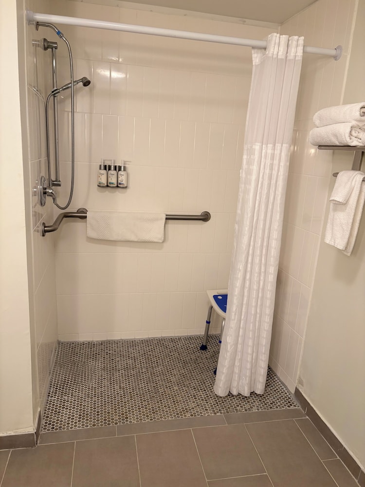 Suite, 1 King Bed, Roll-in Shower (Roll-In Shower) - Photo 6