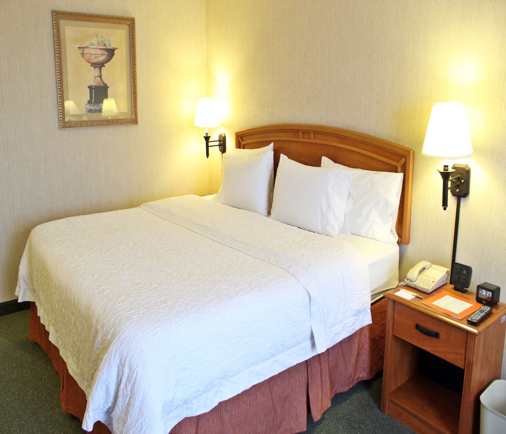 Deluxe Room, 1 King Bed, Non Smoking - Photo 18