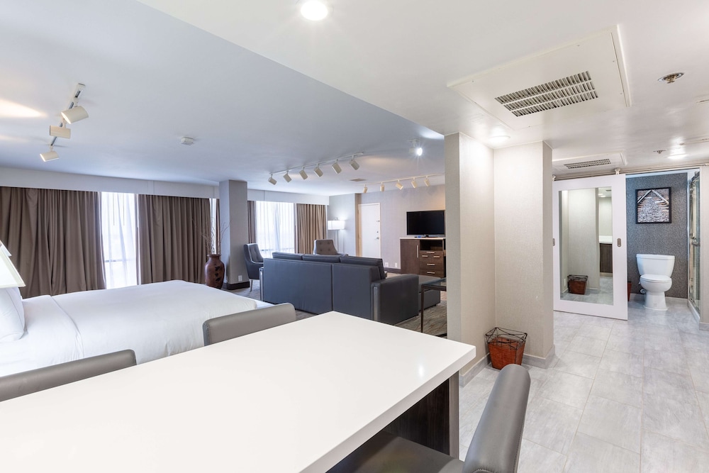 Studio, 1 King Bed with Sofa bed (Sitting Area)