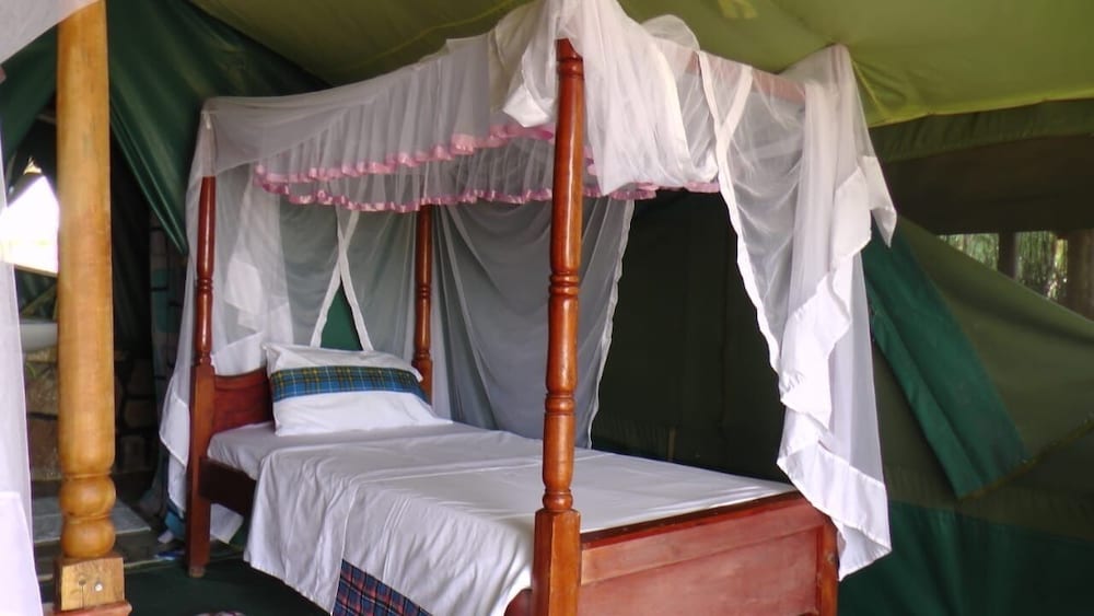 Deluxe Room, 2 Twin Beds, Garden View photo 2