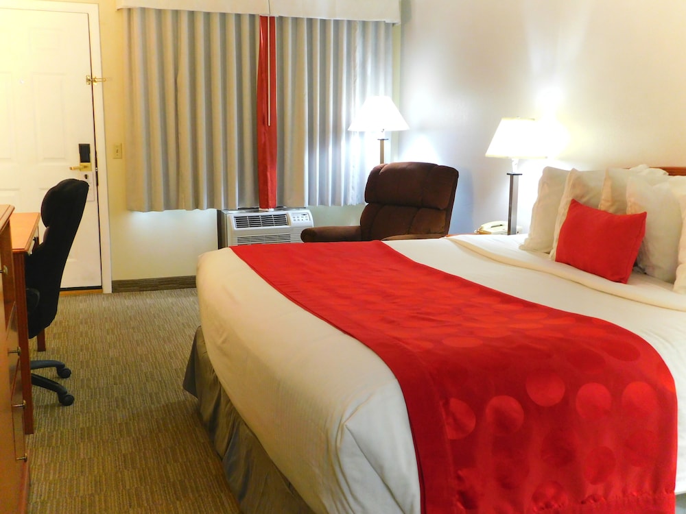 Standard Room, 1 King Bed, Smoking, Annex Building photo 3