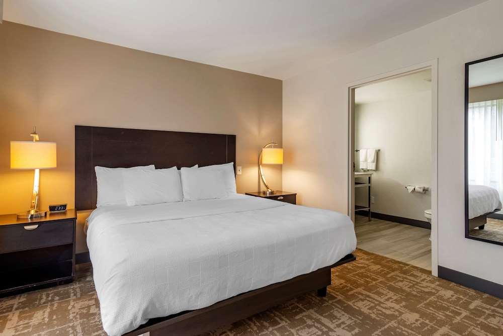 Suite, 1 King Bed, Non Smoking, Refrigerator & Microwave (Shower Only;Larger Room;with Sofabed) photo 3