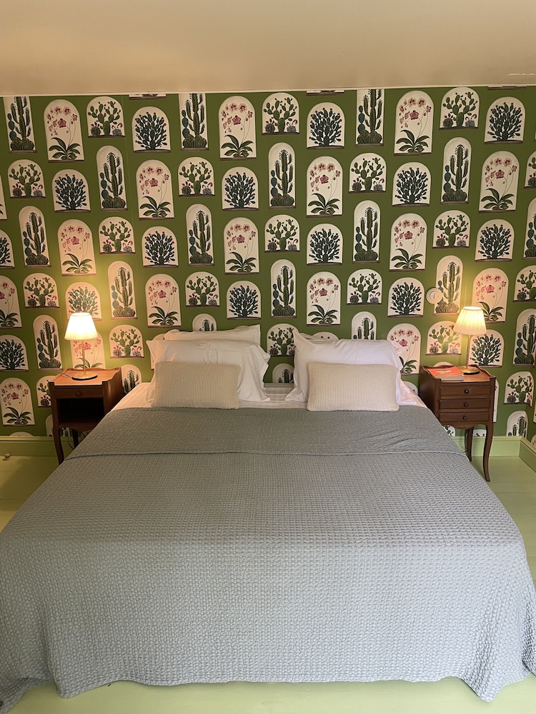Chambre classique Cactus photo 1