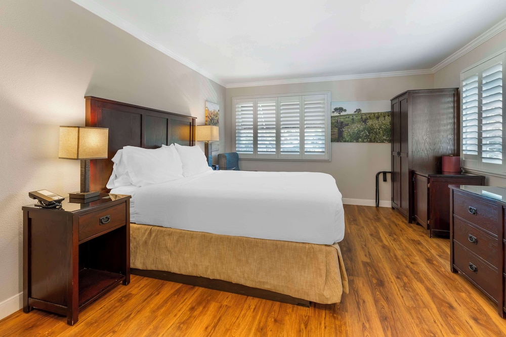 Standard Room, 1 King Bed, Non Smoking, Refrigerator photo 2