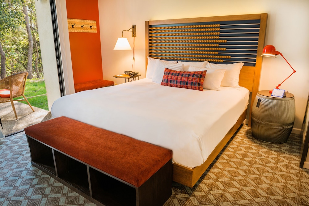 1 King Junior Suite Forest View - Photo 4