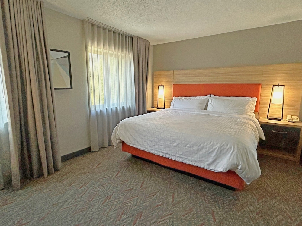 Suite, 1 Bedroom - Photo 11