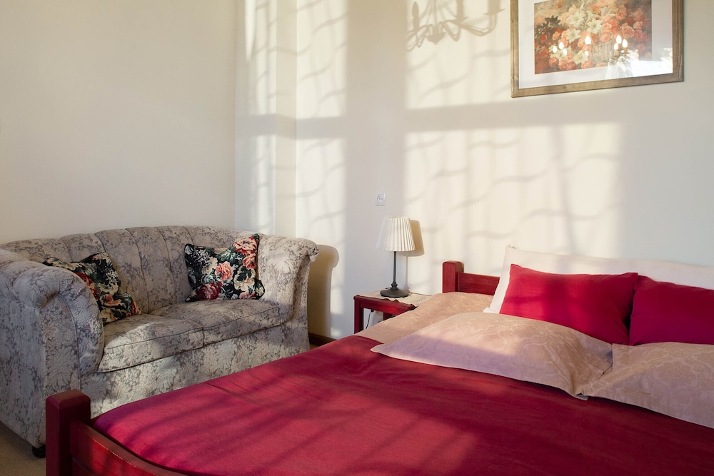 Deluxe Double Room, 1 King Bed, Non Smoking, Garden View (Karl) photo 2
