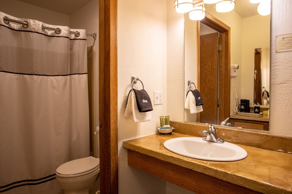 Premium Room, 1 King Bed with Sofa bed, Jetted Tub photo 3
