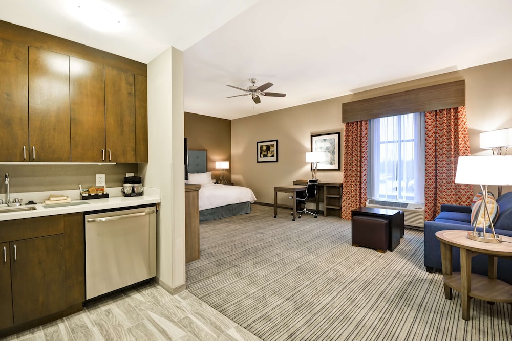 Studio Suite, 1 King Bed, Non Smoking photo 1